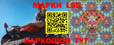 индика Рыбинск