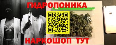 индика Рыбинск