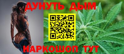индика Рыбинск